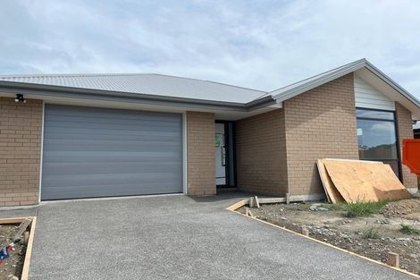 Photo of property in 17 Henshaw Street, Woodend, 7610