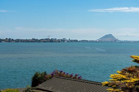 Photo of property in 266 Maungatapu Road, Maungatapu, Tauranga, 3112