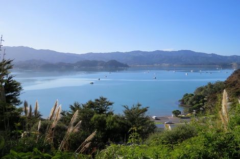 Photo of property in 145 Mannion Road, Wyuna Bay, Coromandel, 3581