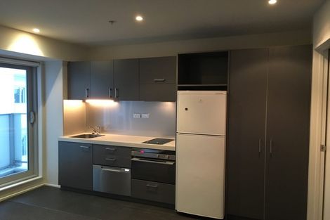 Photo of property in Soho Apartments, 519/74 Taranaki Street, Te Aro, Wellington, 6011