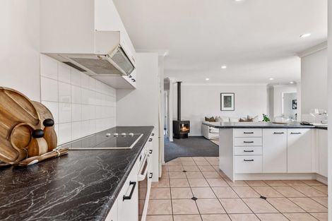 Photo of property in 12 Semillon Avenue, Henderson, Auckland, 0612