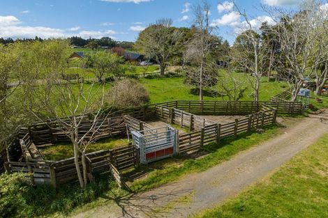 Photo of property in 51 Hinewa Road, Otumoetai, Tauranga, 3110