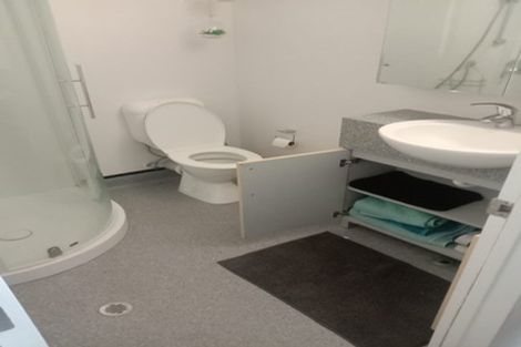 Photo of property in Dual Apartments, 108/142u Vivian Street, Te Aro, Wellington, 6011