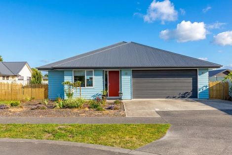 Photo of property in 38 Westwood Avenue, Greytown, 5712