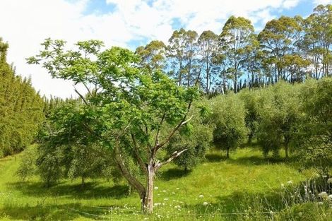Photo of property in 42 Marshall Road, Katikati, 3178