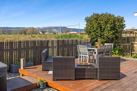 Photo of property in 33 Findlater Street, Matamata, 3400