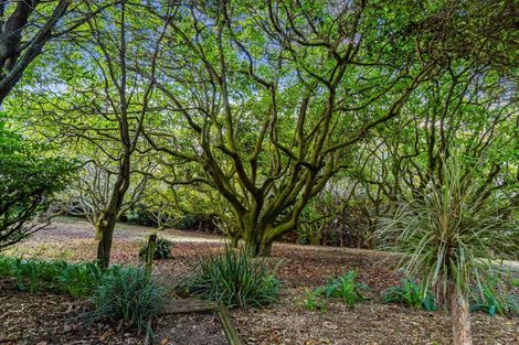 Photo of property in 16r Boscabel Drive, Ohauiti, Tauranga, 3112