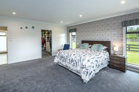 Photo of property in 2/53 Jellicoe Street, Greytown, 5712