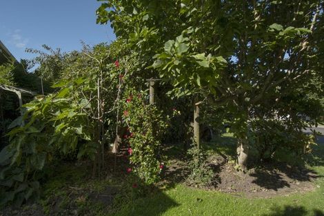 Photo of property in 13 Malyon Street, Te Puke, 3119