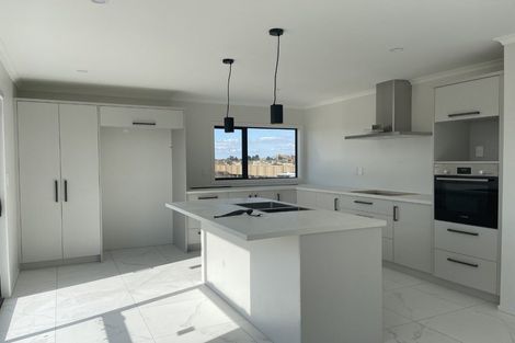 Photo of property in 55 Earp Crescent, Chartwell, Hamilton, 3210