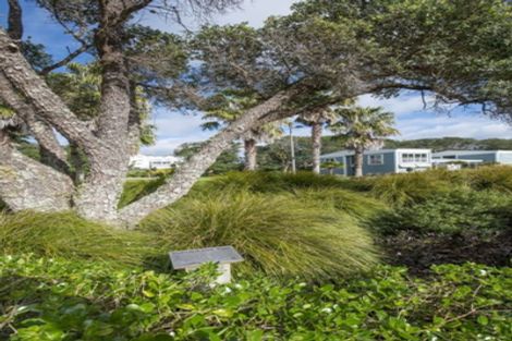 Photo of property in 7 Kensington Drive, Orewa, 0931