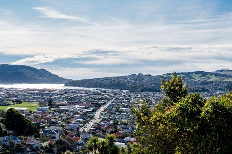 Photo of property in 54 Ravenswood Road, Saint Clair, Dunedin, 9012