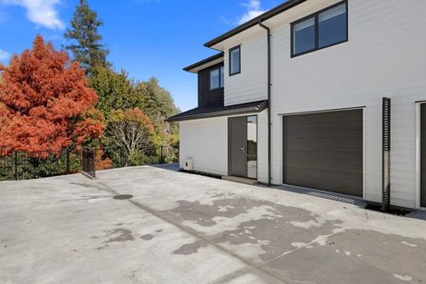 Photo of property in 34u2 Wake Street, Chartwell, Hamilton, 3210
