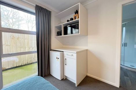 Photo of property in 5u3 Teddy Street, Whitiora, Hamilton, 3200