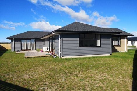 Photo of property in 16 Hehan Close, Cambridge, 3434