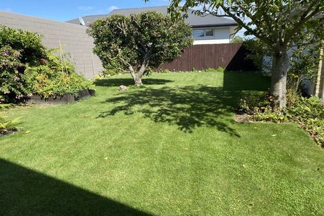 Photo of property in 77 Halberg Street, Dallington, Christchurch, 8061