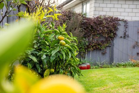 Photo of property in 108 Kennedy Road, Pyes Pa, Tauranga, 3112