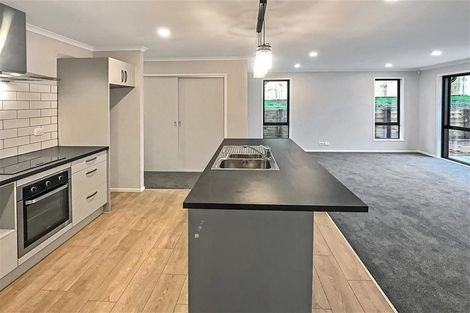 Photo of property in 11 Harry Richards Way, Pokeno, 2402