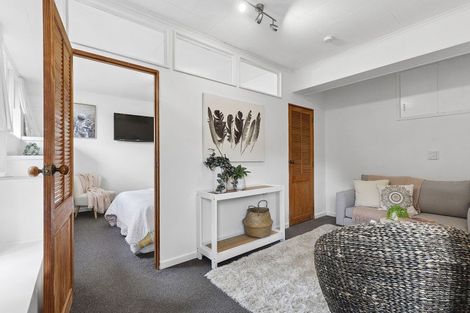 Photo of property in 142 The Ridgeway, Mornington, Wellington, 6021