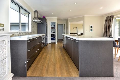 Photo of property in 22 Mustang Avenue, Wigram, Christchurch, 8042