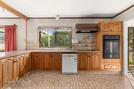 Photo of property in 55 Gorge Road, Maungaturoto, 0520