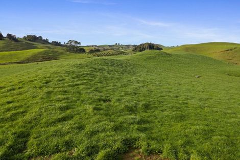 Photo of property in 1234 Richmond Road, Everett Park, Inglewood, 4389