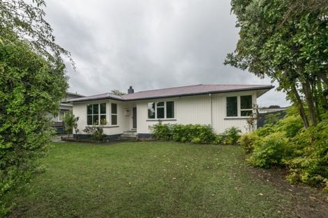 Photo of property in 9 Freyberg Avenue, Tamatea, Napier, 4112