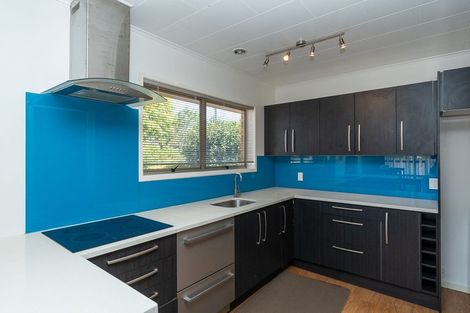 Photo of property in 58a Nixon Street, Hamilton East, Hamilton, 3216