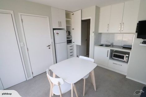 Photo of property in 47b Campbell Road, Mount Maunganui, 3116