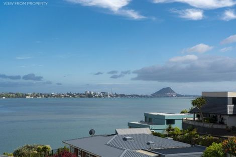 Photo of property in 284 Maungatapu Road, Maungatapu, Tauranga, 3112