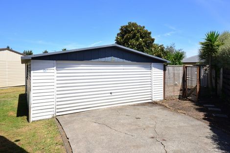 Photo of property in 17 Lilac Street, Melville, Hamilton, 3206