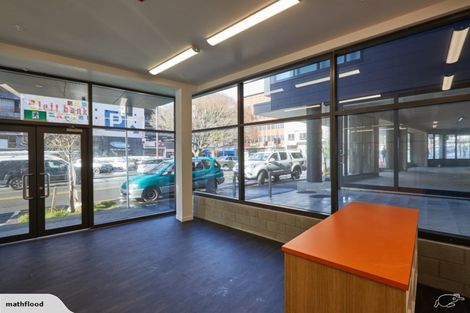 Photo of property in Vsp Nothern Tower, 166c1 Victoria Street, Te Aro, Wellington, 6011