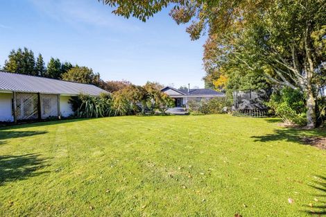 Photo of property in 48 Maire Street, Inglewood, 4330