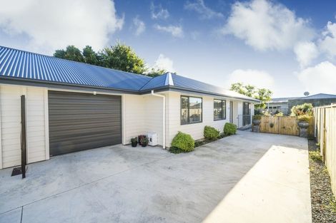 Photo of property in 519b Ferguson Street, Palmerston North, 4410