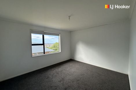 Photo of property in 3 Ballance Street, Caversham, Dunedin, 9011