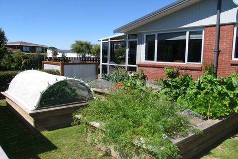 Photo of property in 6 Tybalt Street, Stratford, 4332