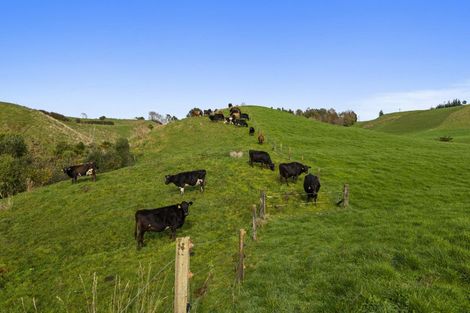 Photo of property in 1234 Richmond Road, Everett Park, Inglewood, 4389