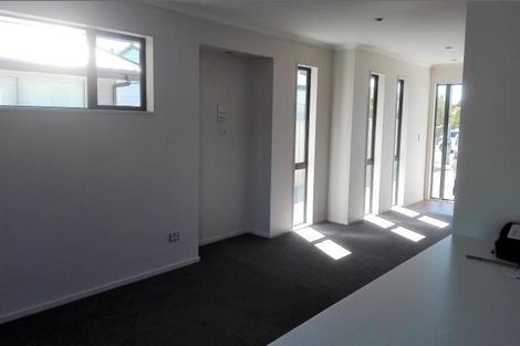 Photo of property in 165 Petrie Street, Richmond, Christchurch, 8013