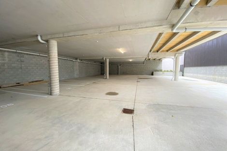 Photo of property in Aniva Terrace, 18 Ferguson Street, Newtown, Wellington, 6021