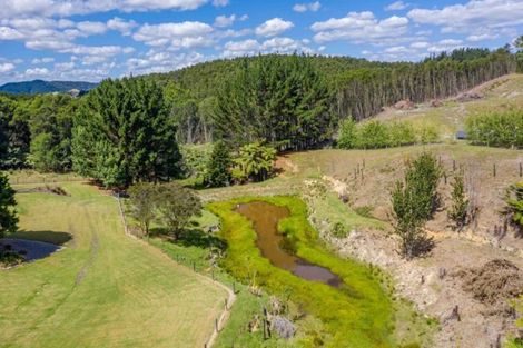 Photo of property in 124 Wakelin Road, Kerikeri, 0293