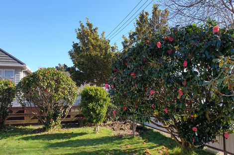 Photo of property in 50 Dyer Street, Epuni, Lower Hutt, 5011