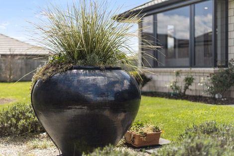 Photo of property in 31 Banks Road, Matamata, 3400