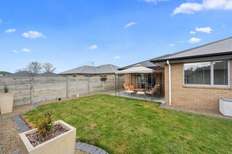 Photo of property in 55 Shrule Place, Huntington, Hamilton, 3210