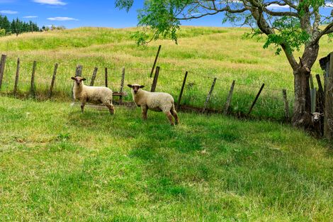 Photo of property in 585b Waingaro Road, Ngaruawahia, 3793