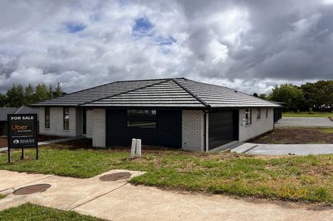 Photo of property in 12 Rock Ridge Drive, Te Kamo, Whangarei, 0112
