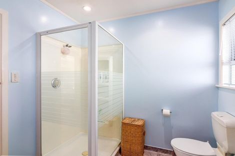 Photo of property in 133 Cockburn Street, Kuripuni, Masterton, 5810