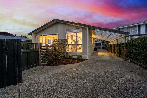 Photo of property in 255 Talbot Street, Hargest, Invercargill, 9810
