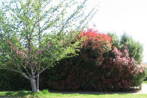 Photo of property in 62 Rotokawa Street, Taupo, 3330