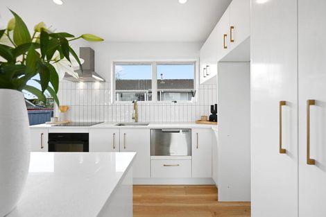 Photo of property in 12a Madison Place, Dinsdale, Hamilton, 3204