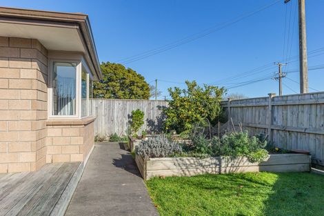 Photo of property in 45 Chester Street, Levin, 5510